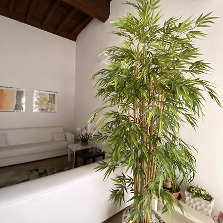 Suite Saffi 99 Viterbo Exteriör bild
