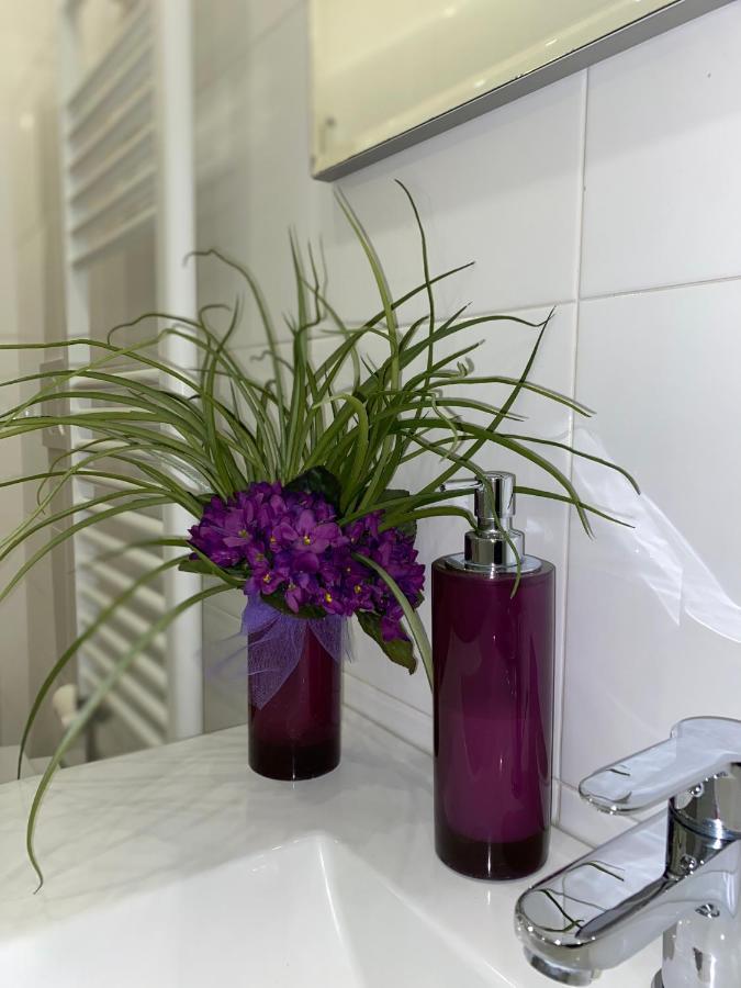 Suite Saffi 99 Viterbo Exteriör bild